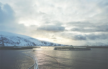 Grieg puts Norway investments on hold citing tax increase proposal