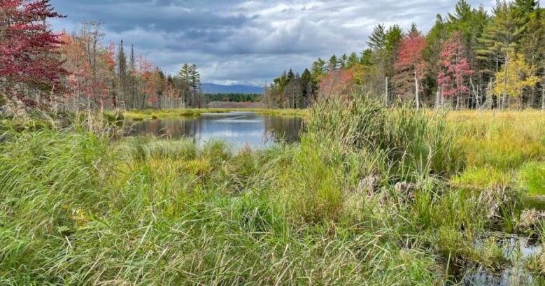 Norway Savings contributes $1K for Lovell accessible trail project